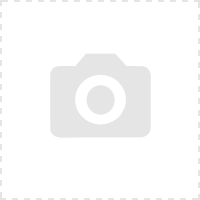 EDG Spring