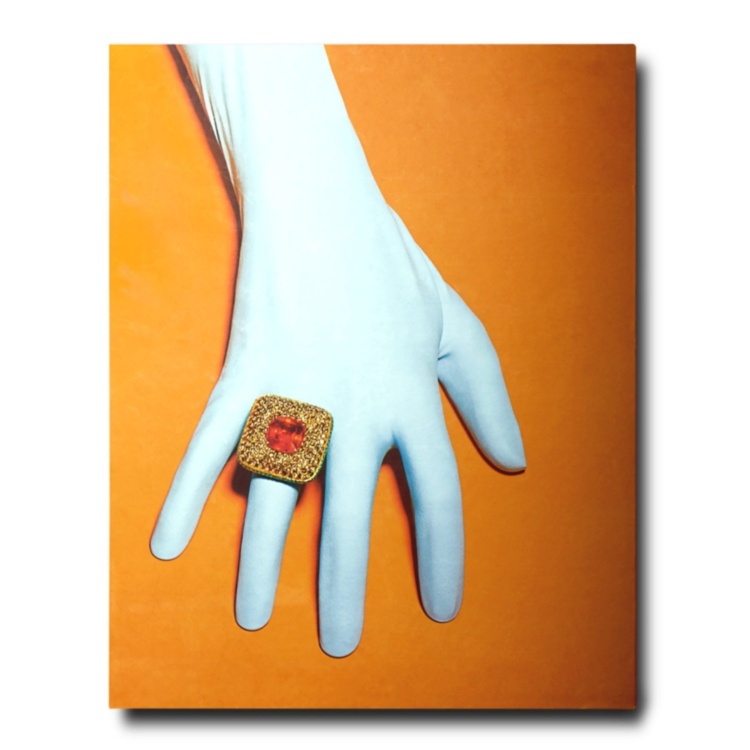 Suzanne Syz: Art Jewels ASSOULINE