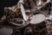 Africa Zimbabwe-Djerba set of 2(Tea Cups Luxury Box)