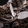 Africa Zimbabwe-Djerba set of 2(Tea Cups Luxury Box)