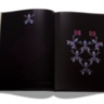 L'esprit Serge Lutens (French) ASSOULINE