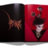 L'esprit Serge Lutens (French) ASSOULINE