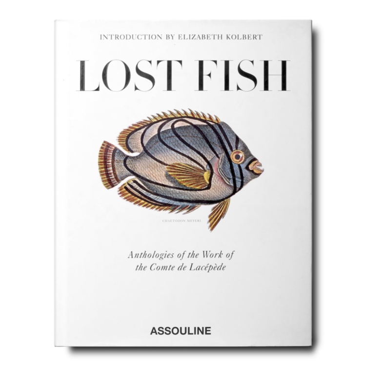 Lost Fish ASSOULINE