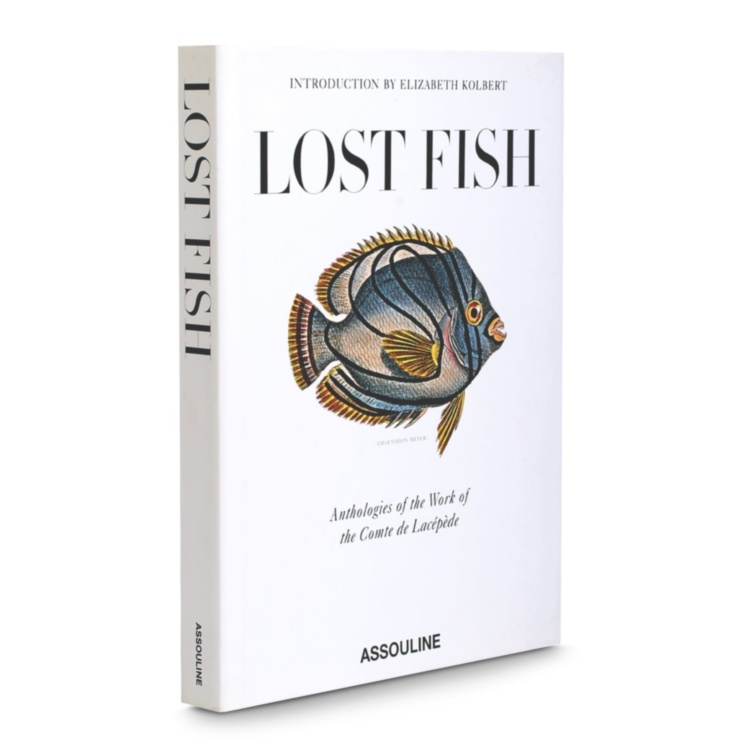 Lost Fish ASSOULINE