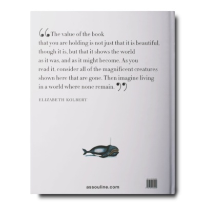 Lost Fish ASSOULINE