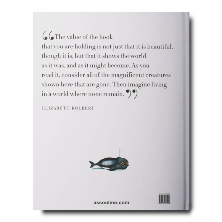 Lost Fish ASSOULINE