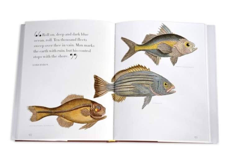 Lost Fish ASSOULINE