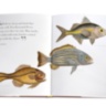 Lost Fish ASSOULINE