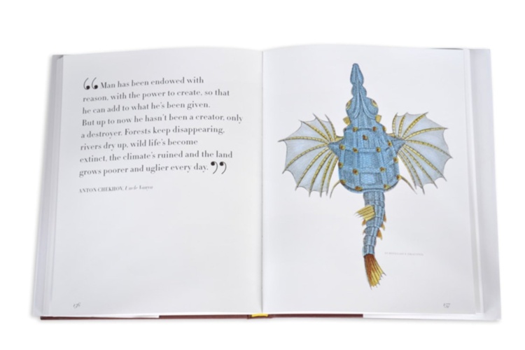 Lost Fish ASSOULINE