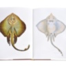 Lost Fish ASSOULINE