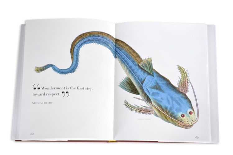 Lost Fish ASSOULINE