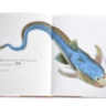 Lost Fish ASSOULINE
