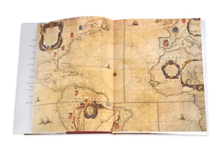 Lost Fish ASSOULINE