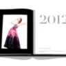 Dior by Raf Simons ASSOULINE
