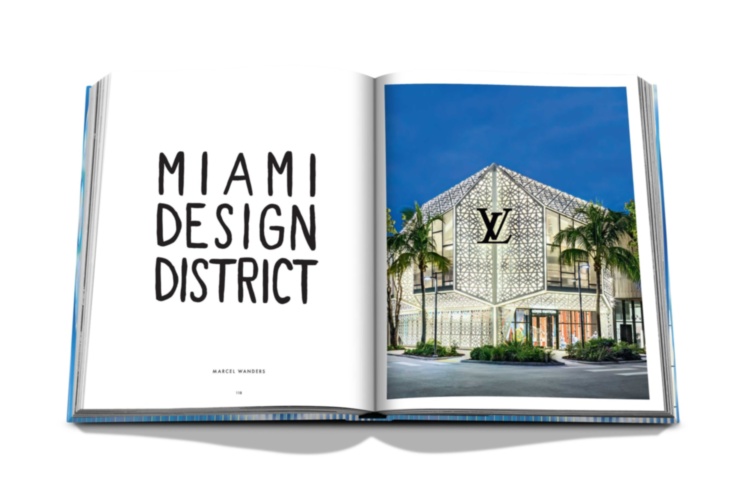 Louis Vuitton Skin: Architecture of Luxury (Paris Edition) ASSOULINE