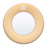 Lizard Gold Dinner Plate