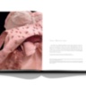 Dior by Marc Bohan ASSOULINE