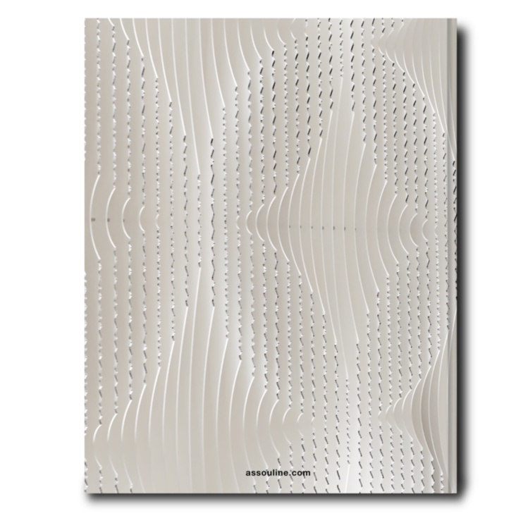Louis Vuitton Skin: Architecture of Luxury (New York Edition) ASSOULINE