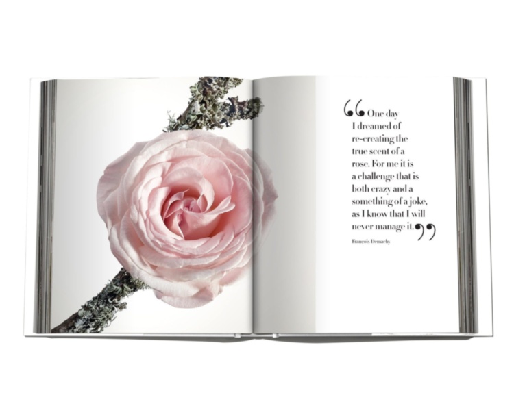 La Collection Privee Christian Dior Parfum ASSOULINE