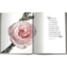 La Collection Privee Christian Dior Parfum ASSOULINE