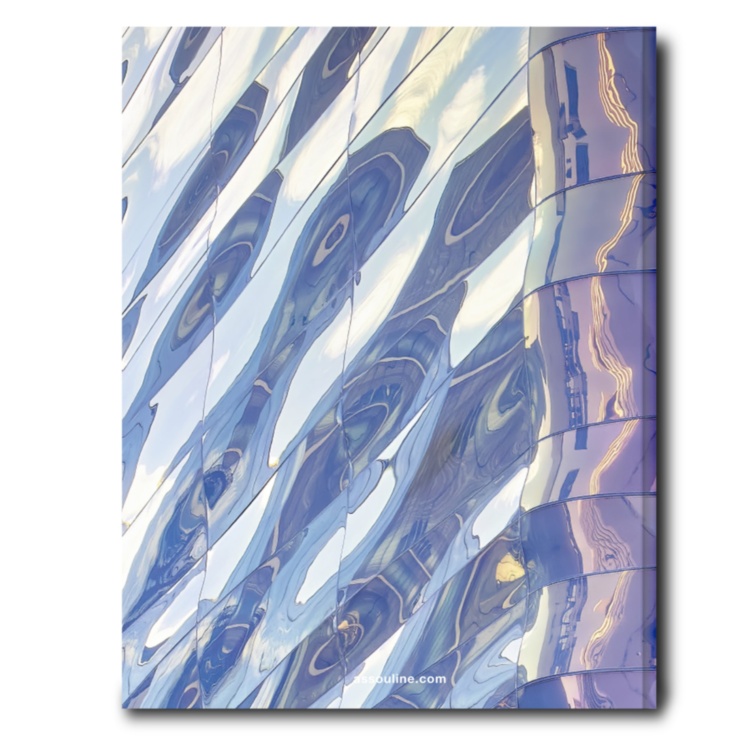 Louis Vuitton Skin: Architecture of Luxury (Tokyo Edition) ASSOULINE