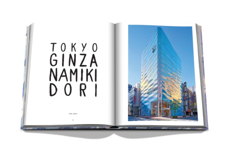 Louis Vuitton Skin: Architecture of Luxury (Tokyo Edition) ASSOULINE