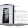 The Impossible Collection of Cigars ASSOULINE