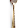 Lizard Gold Fish Fork