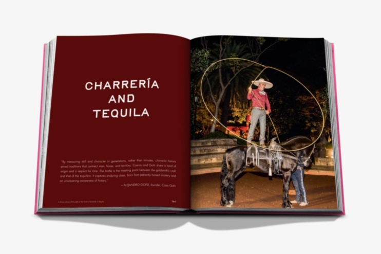 The Art of Tequila: Spirit of Mexico Jewel Assouline