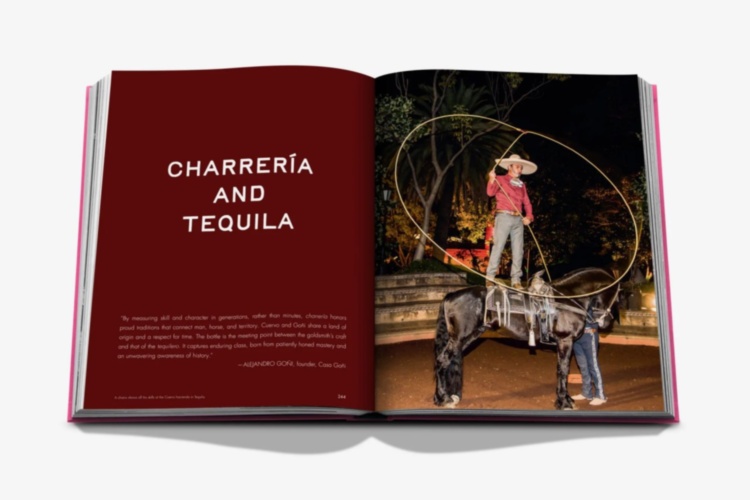 The Art of Tequila: Spirit of Mexico Jewel Assouline