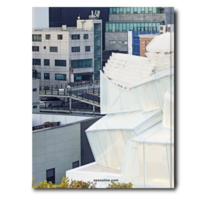 Louis Vuitton Skin: Architecture of Luxury (Seoul Edition) ASSOULINE