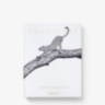 Londolozi: The Safari that Changed Everything ASSOULINE