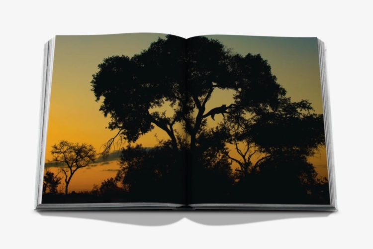 Londolozi: The Safari that Changed Everything ASSOULINE