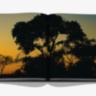 Londolozi: The Safari that Changed Everything ASSOULINE