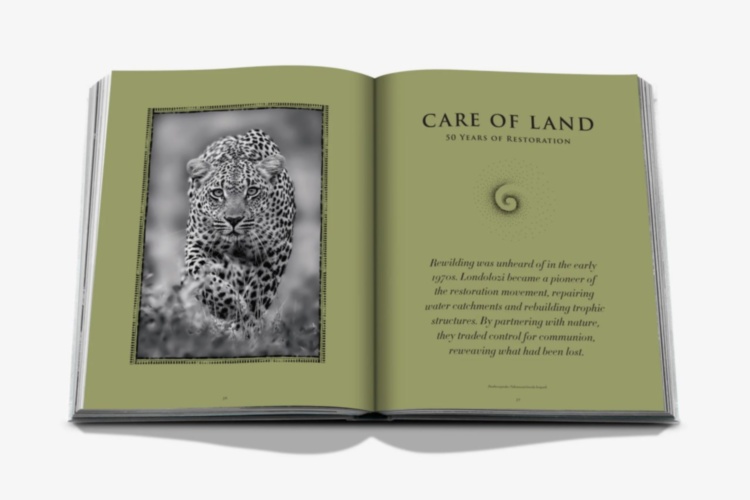 Londolozi: The Safari that Changed Everything ASSOULINE
