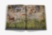 Londolozi: The Safari that Changed Everything ASSOULINE