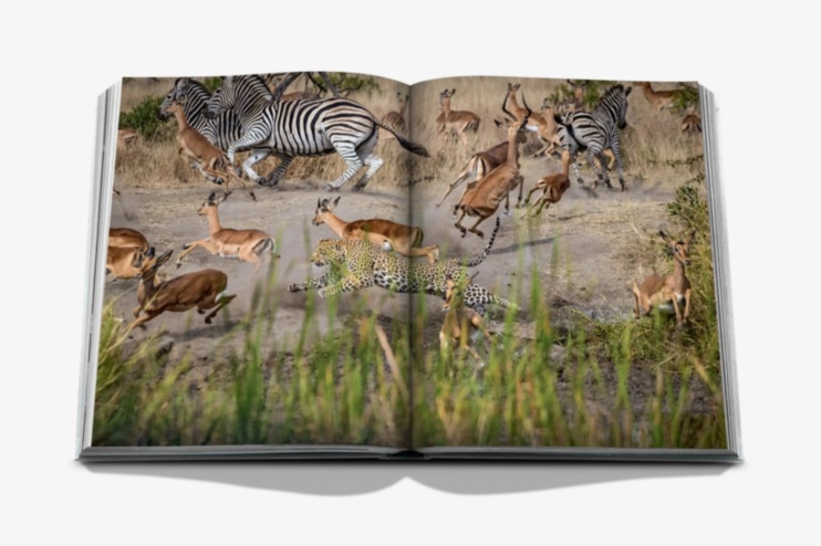 Londolozi: The Safari that Changed Everything ASSOULINE