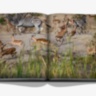 Londolozi: The Safari that Changed Everything ASSOULINE