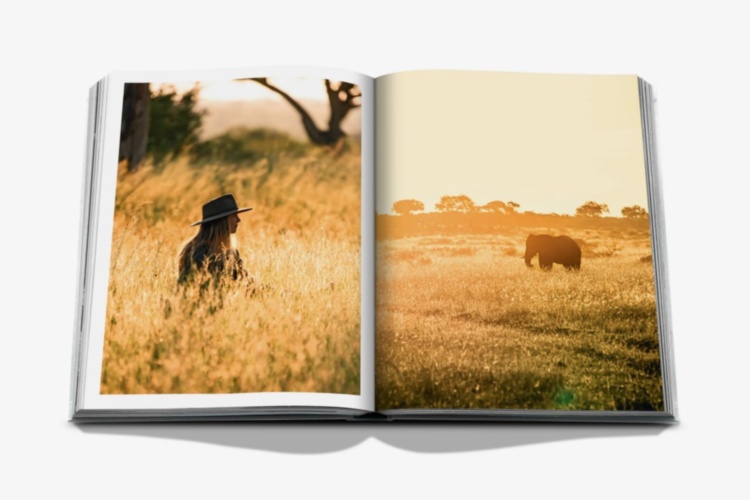 Londolozi: The Safari that Changed Everything ASSOULINE