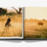 Londolozi: The Safari that Changed Everything ASSOULINE