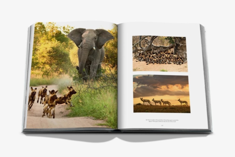 Londolozi: The Safari that Changed Everything ASSOULINE