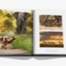 Londolozi: The Safari that Changed Everything ASSOULINE
