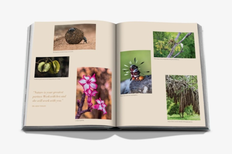 Londolozi: The Safari that Changed Everything ASSOULINE