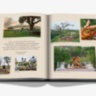 Londolozi: The Safari that Changed Everything ASSOULINE