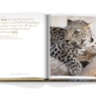 Arabian Leopard ASSOULINE