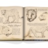 Arabian Leopard ASSOULINE