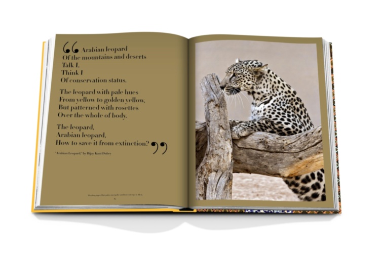 Arabian Leopard ASSOULINE