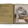 Arabian Leopard ASSOULINE