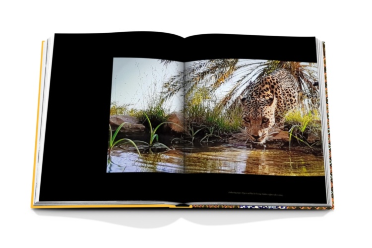 Arabian Leopard ASSOULINE
