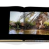 Arabian Leopard ASSOULINE